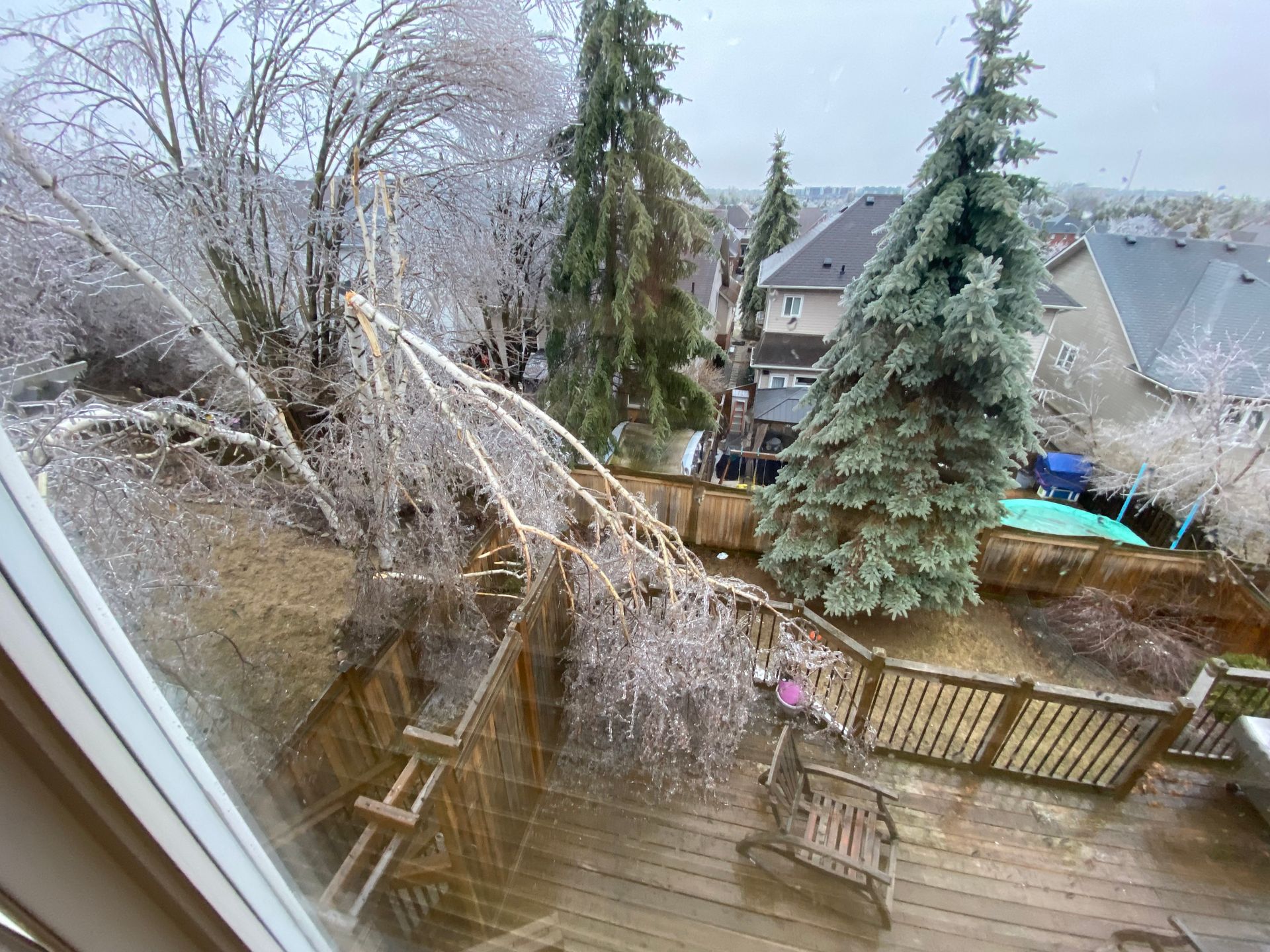 emergency tree removal