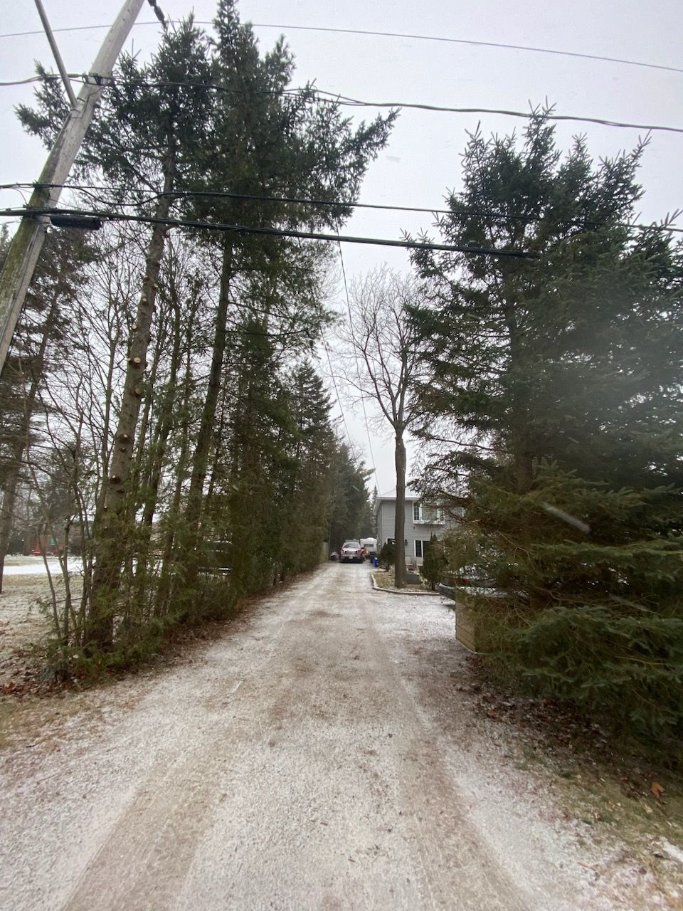 A lane with trees on both sides