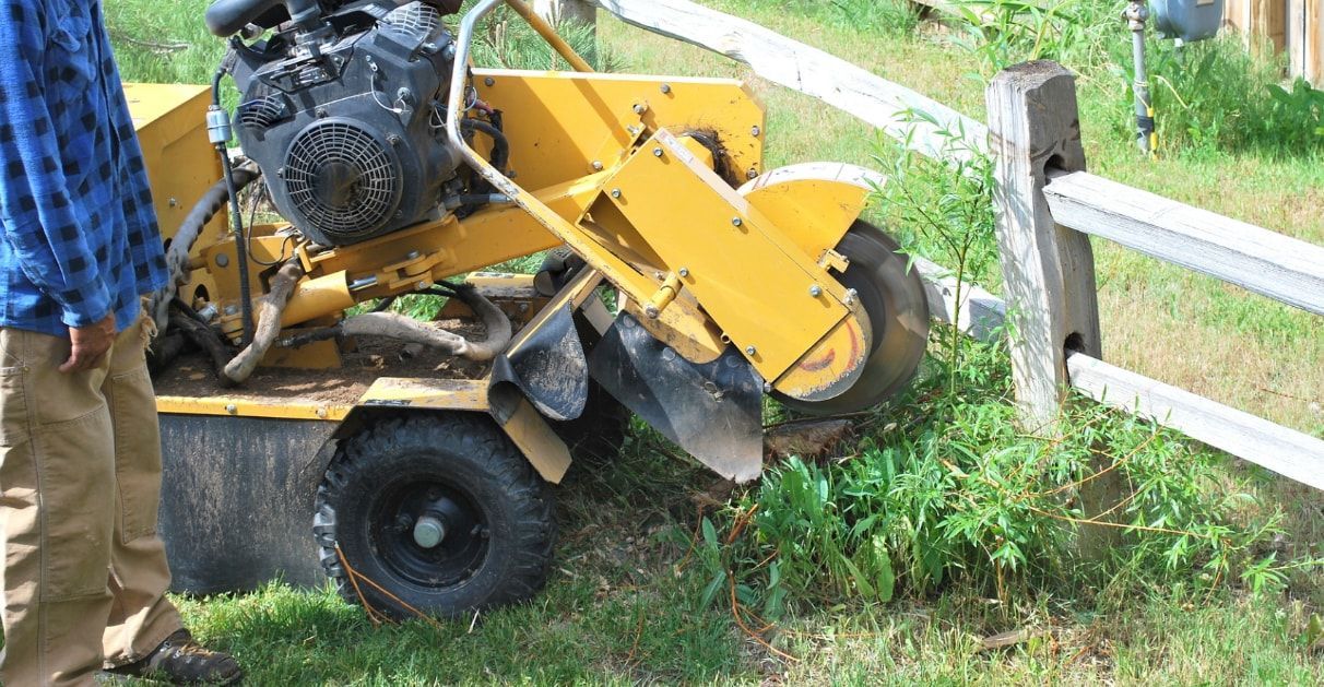 stump grinding services