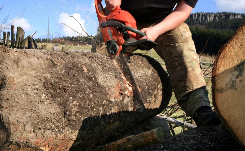 Tree trunk cutting