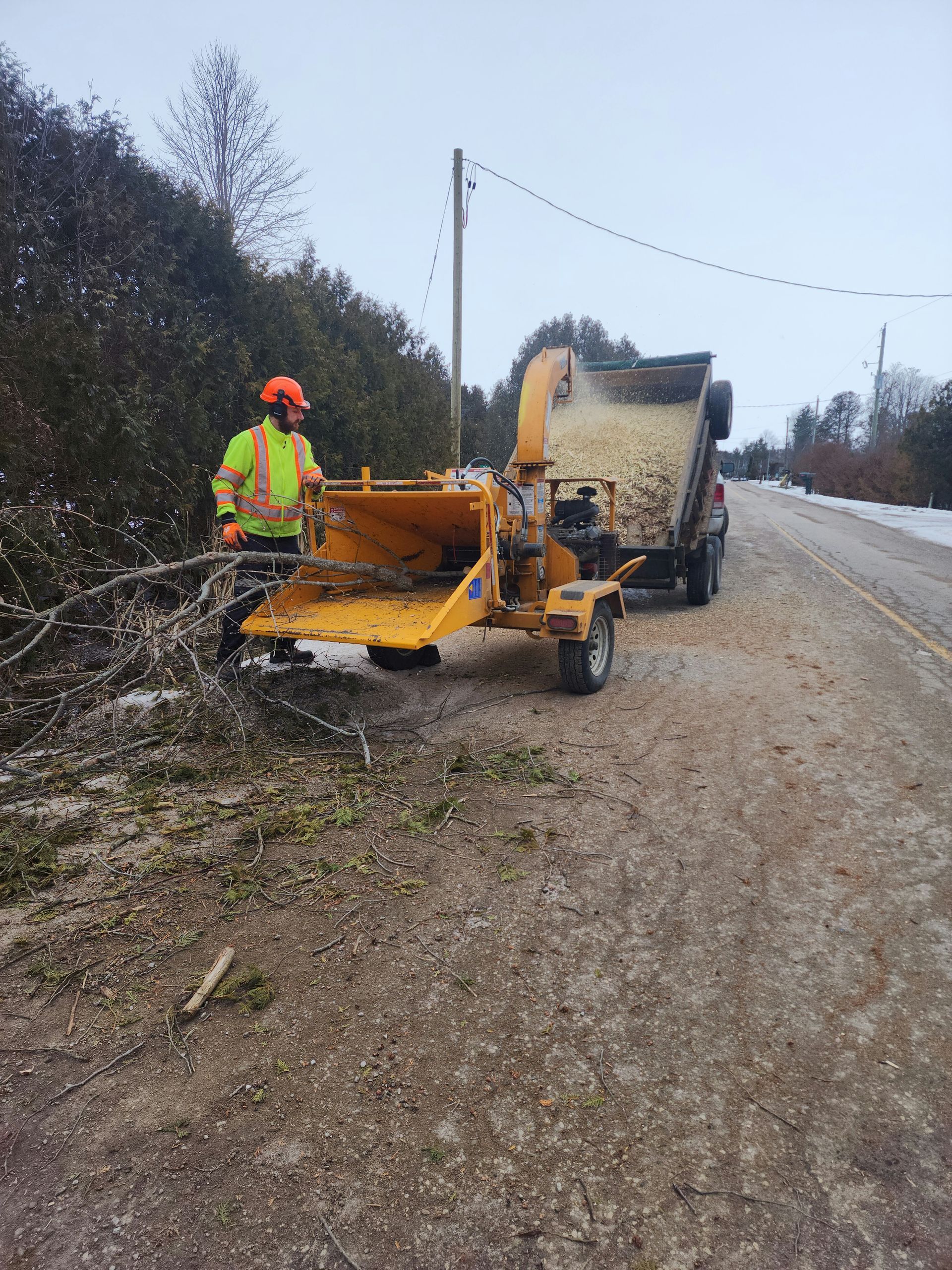 A tree chipper at work