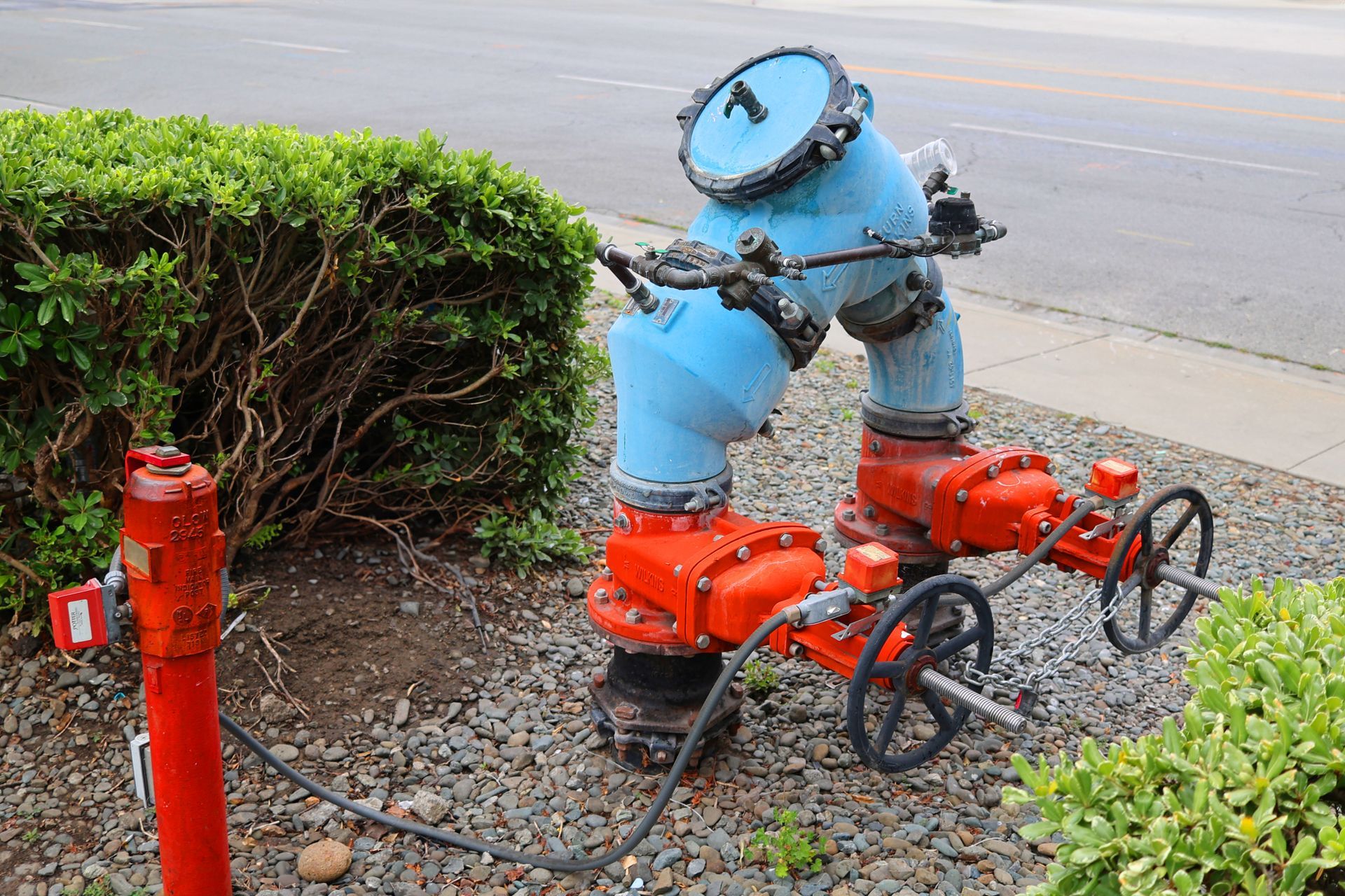 Red and blue water pipes with valves and a nearby red fire hydrant.