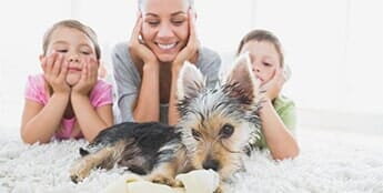 Floor cleaning — cleaning in Escondido, CA