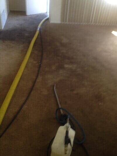 Carpet Cleaning Before — Carpet Cleaning in Escondido, CA