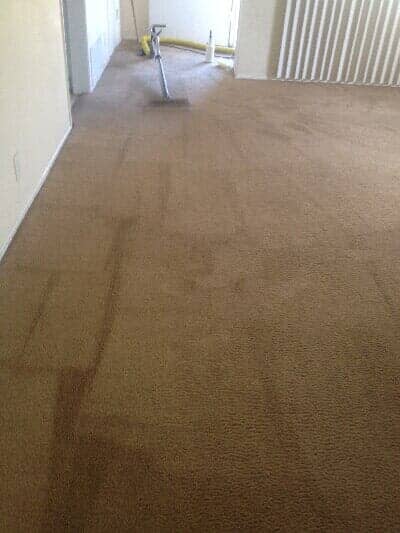 Carpet Cleaning After — Carpet Cleaning in Escondido, CA