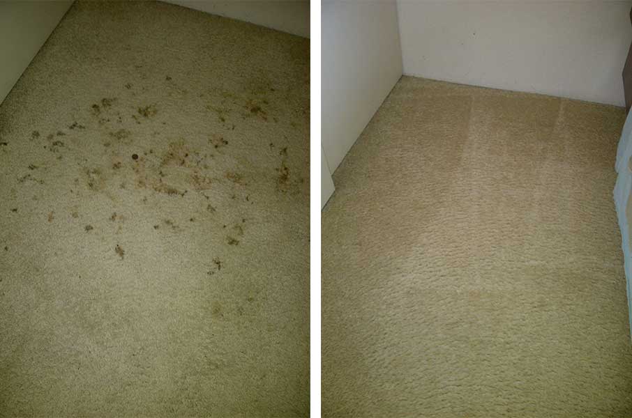 Blood stains cleaning — cleaning in Escondido, CA