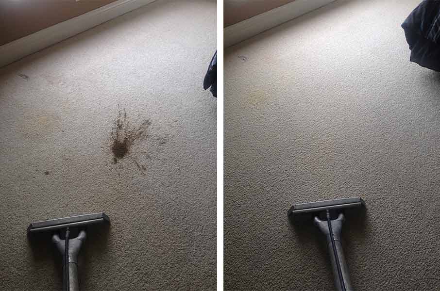 Pet stain removal — cleaning in Escondido, CA