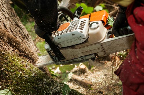 Man cutting with chainsaw - Tree removal in Irving, TX