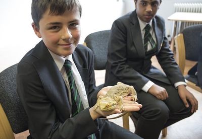 Mobile petting zoo in Wolverhampton by The Animal Man