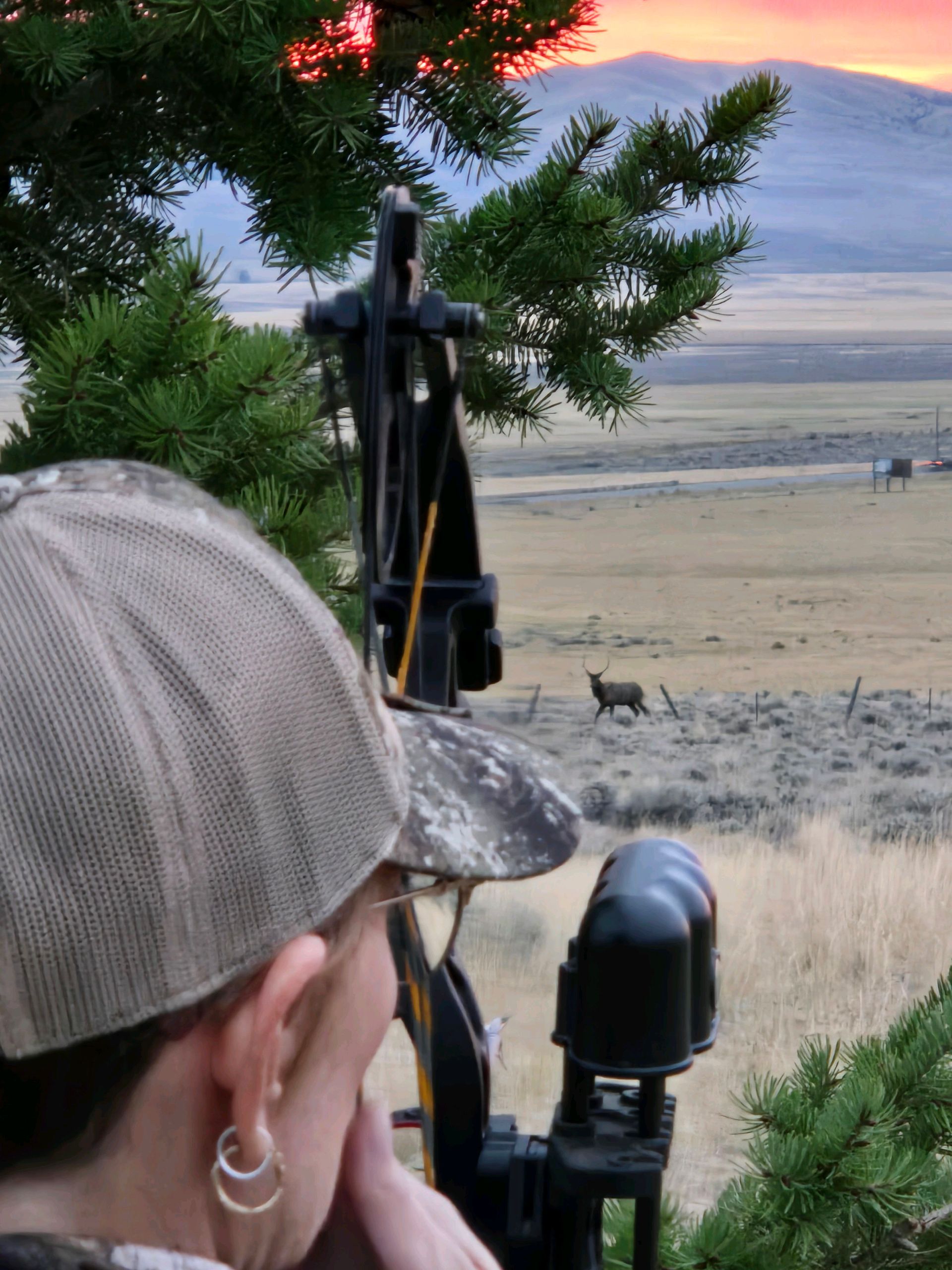 Center For Warriors Archery Elk Camp September 2024