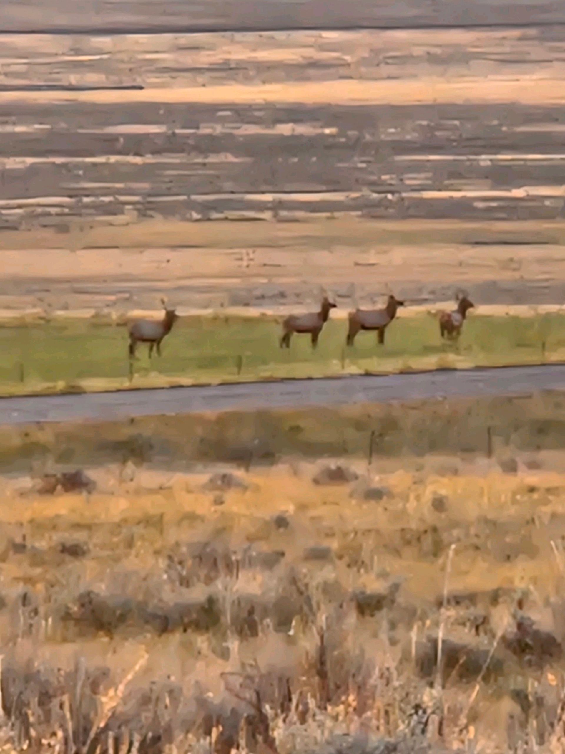 Center For Warriors Archery Elk Camp September 2024