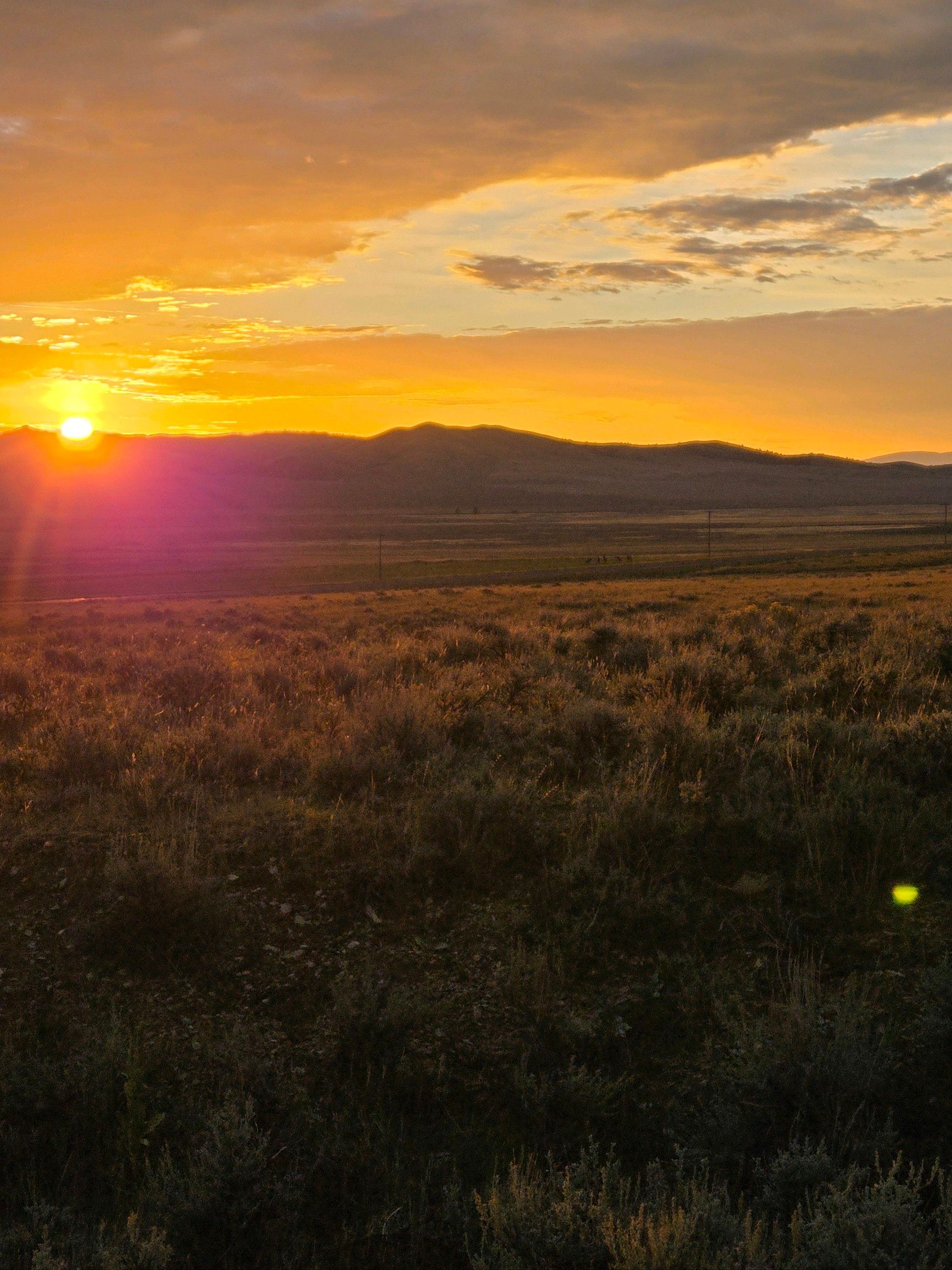 2024 Archery Elk Camp