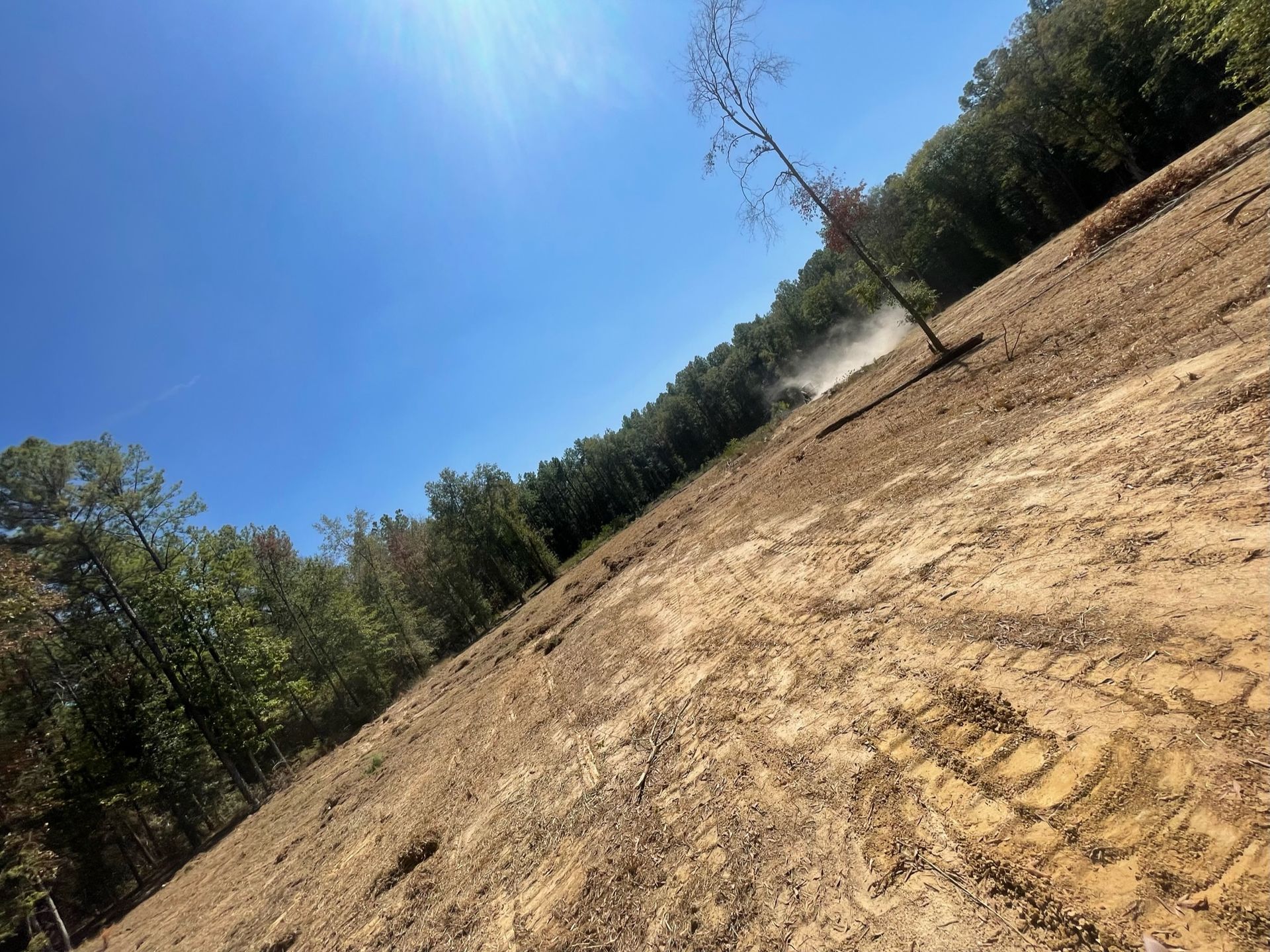 Sloped, cleared land next to a forest under a bright blue sky. A piece of equipment stirs up dust.