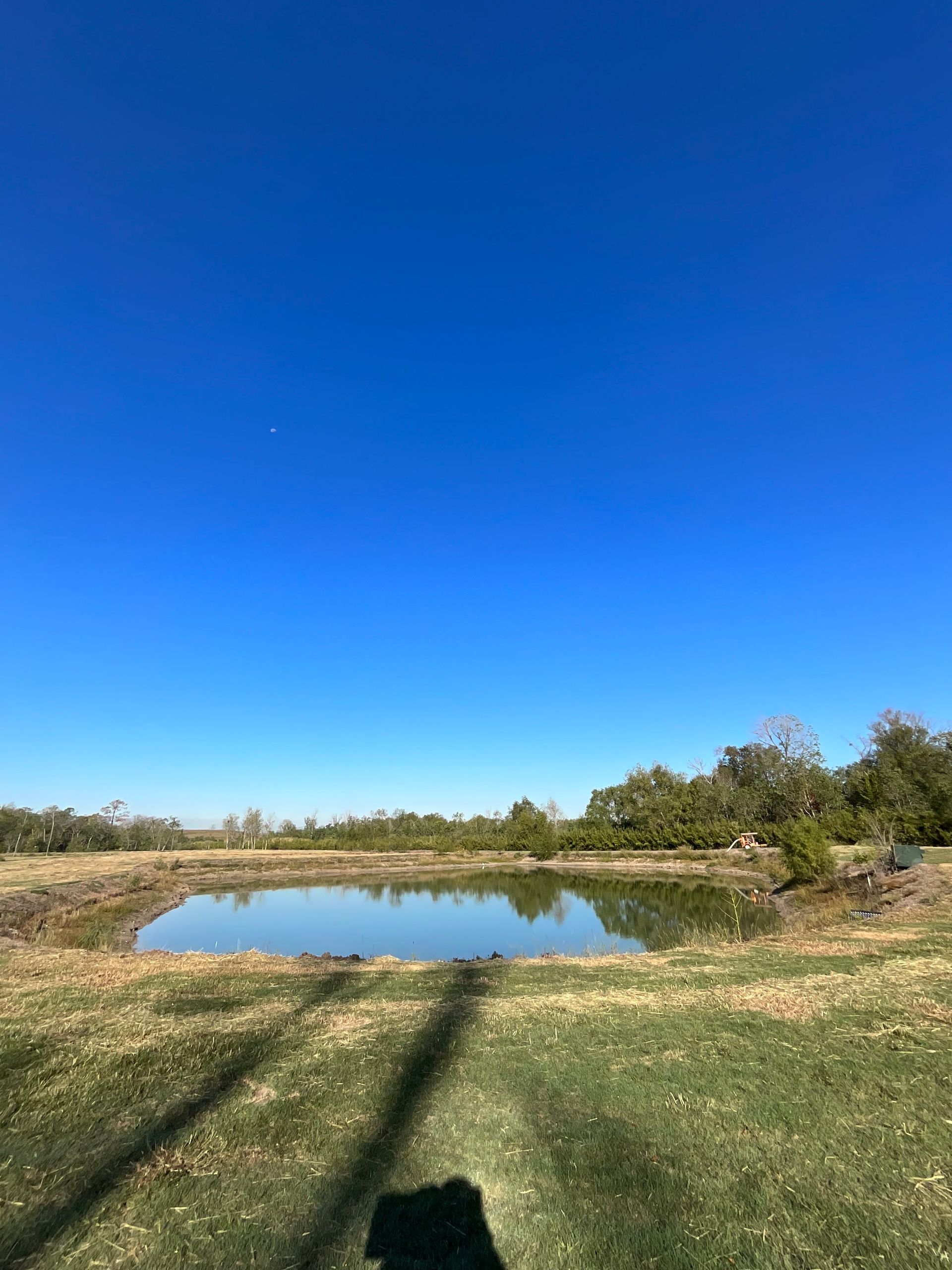 Clear blue sky over a still pond surrounded by grass and trees.