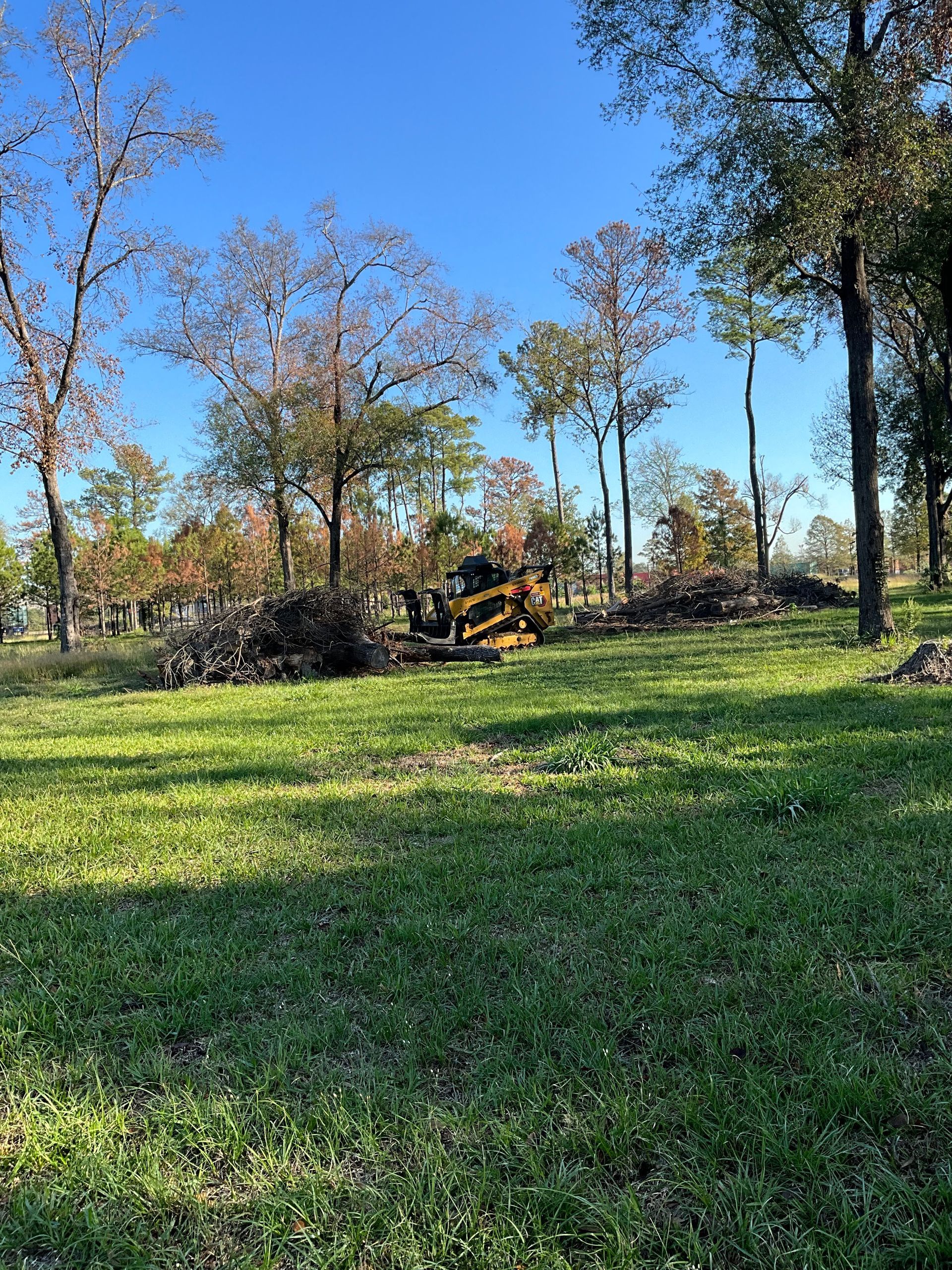 A skid steer is clearing brush in a sunny field with trees in the background.