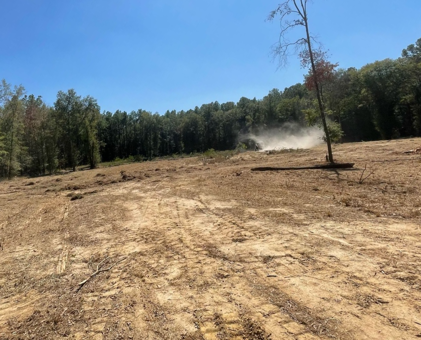 Cleared land with trees in the background, dust cloud from clearing activities under a blue sky.
