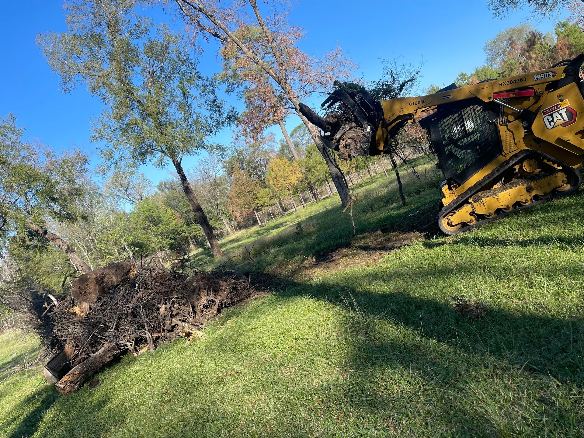 Skid steer lifting a fallen tree from a grassy hill on a sunny day.