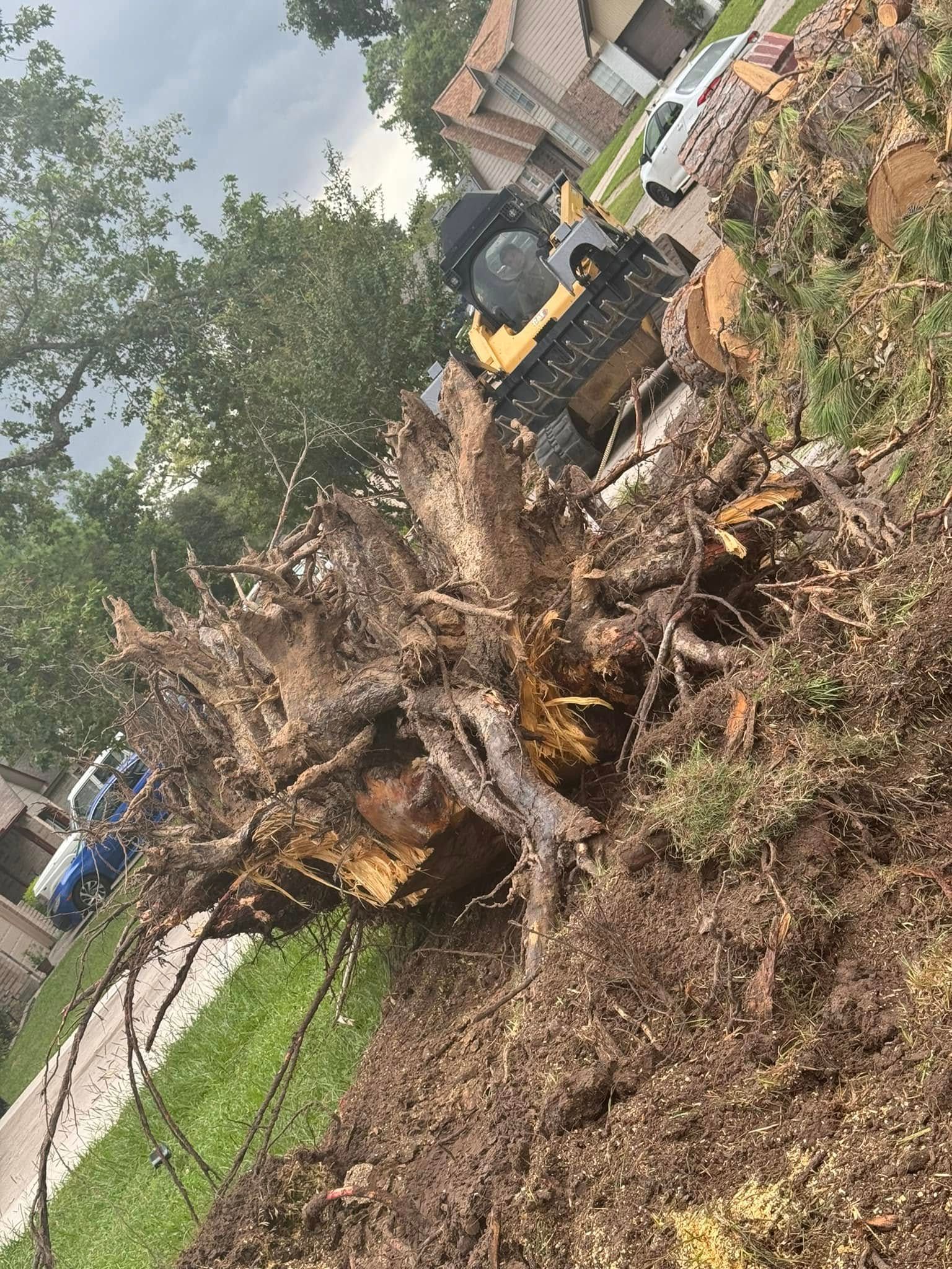 A cleared land area with dust cloud near treeline under blue sky.