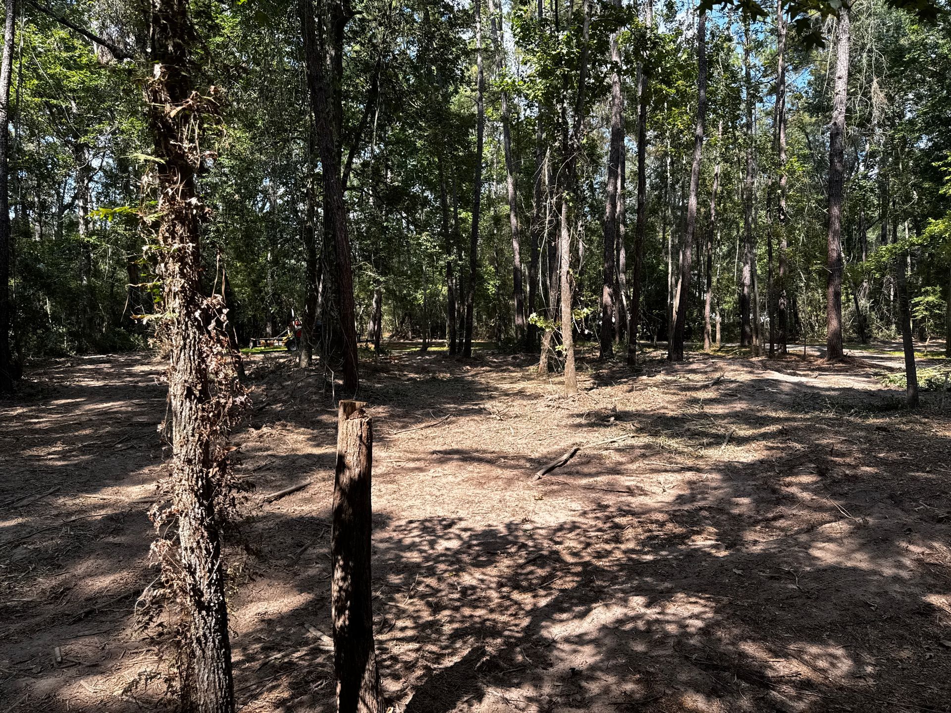 A yellow Caterpillar skid steer removing a fallen tree on a grassy hill.