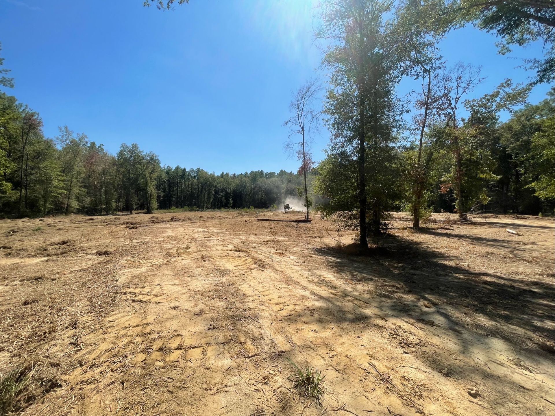 Cleared land, brown dirt, with a treeline and blue sky in the background.