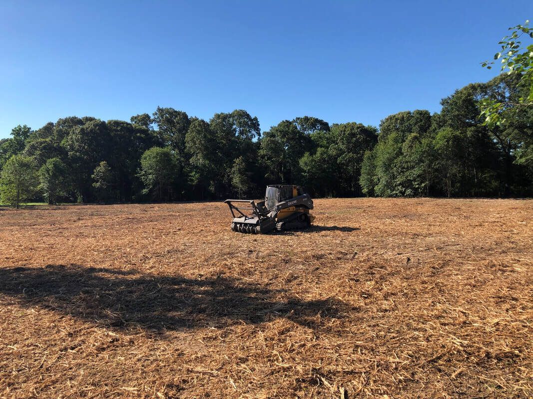 Pile of burning brush and leaves in a wooded area, with smoke rising into the sky.