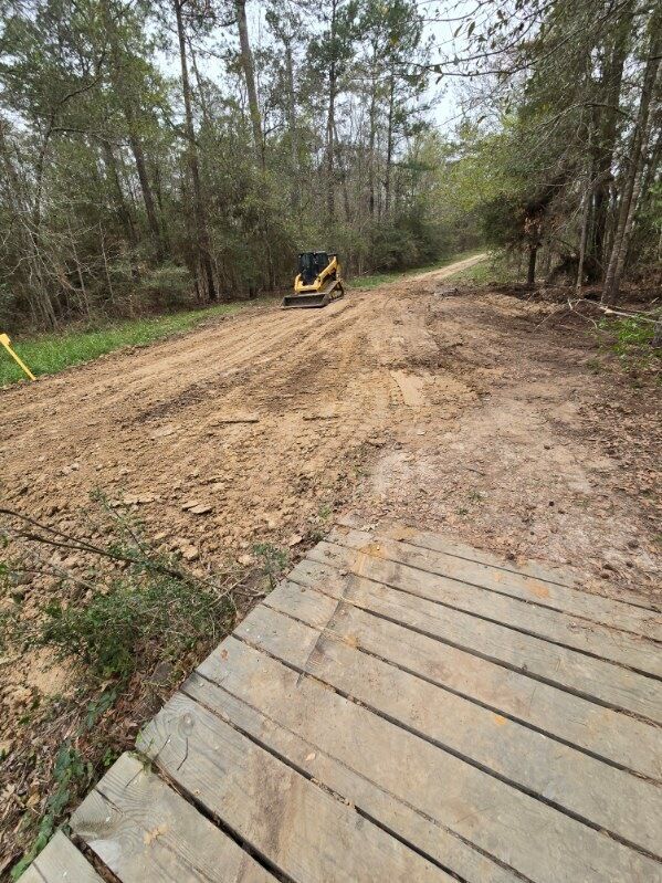Dirt road through a forest; muddy surface, trees on either side, overcast sky.
