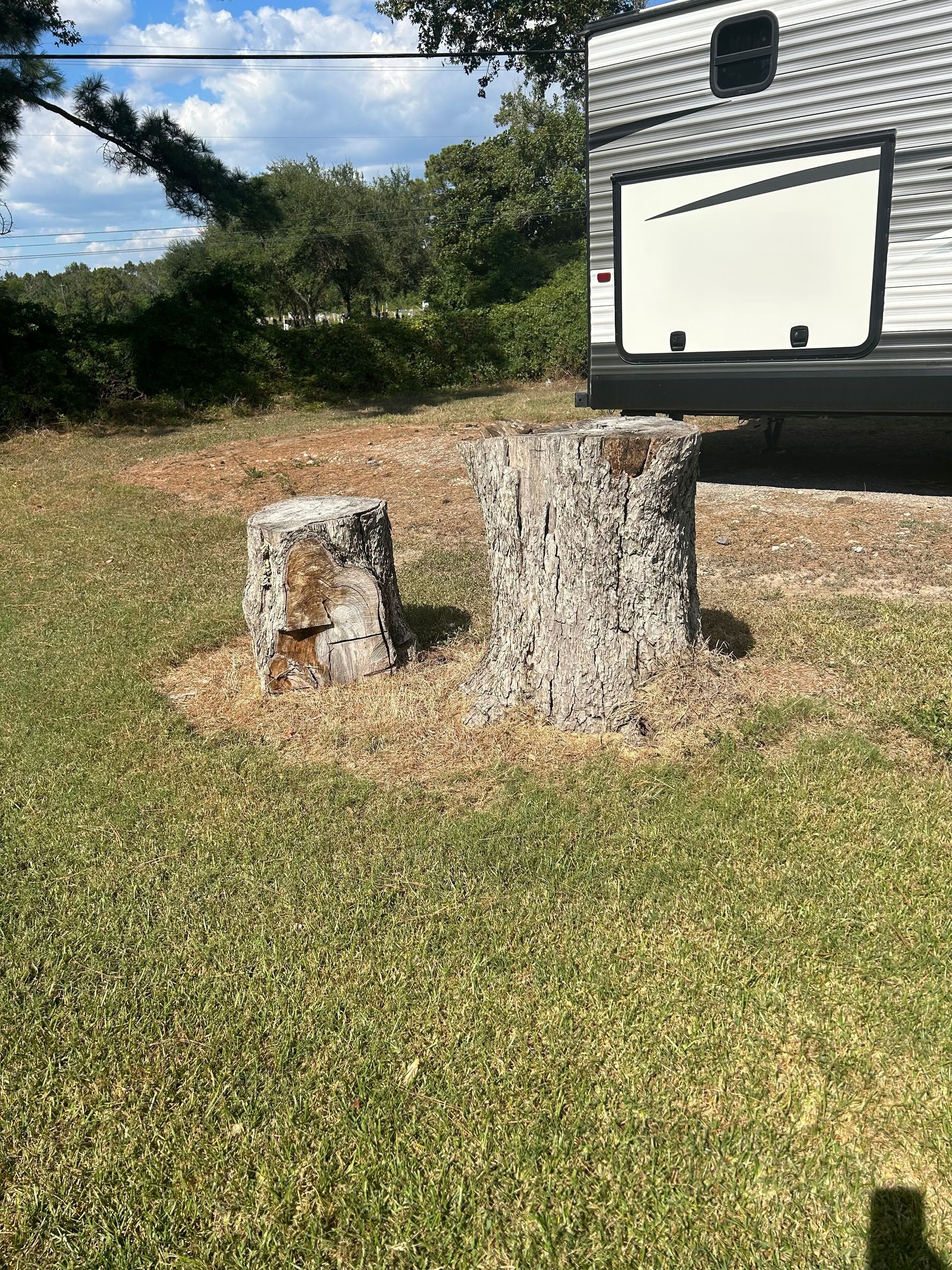 Two weathered tree stumps in a grassy yard, with a camper in the background.