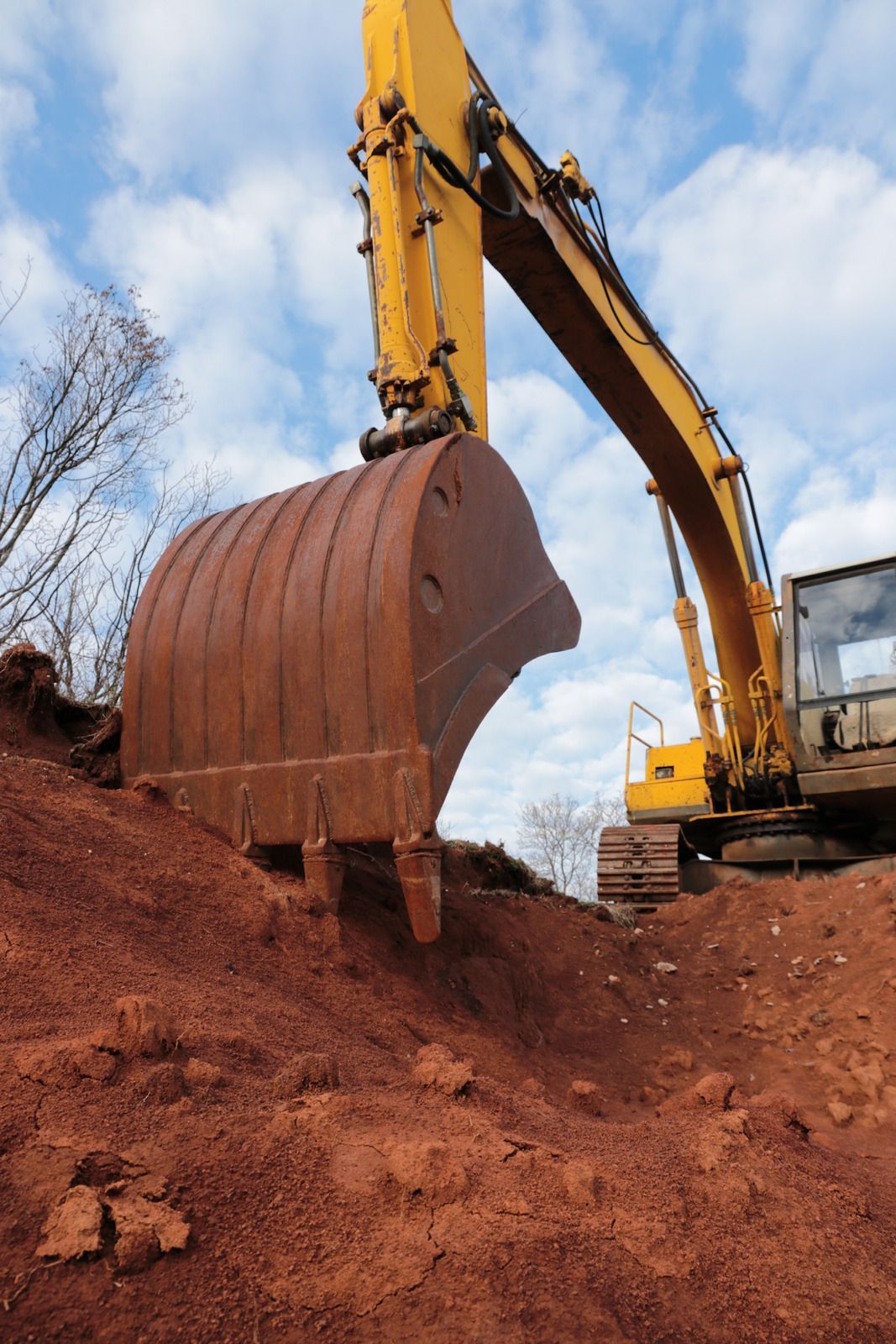 A bulldozer on a dirt slope clearing land, with trees in the background under a blue sky.