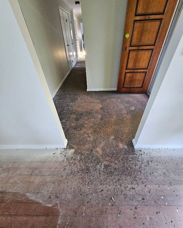 A Hallway With a Wooden Door and a Dirty Floor — Timberfection Queensland in Yatala, QLD