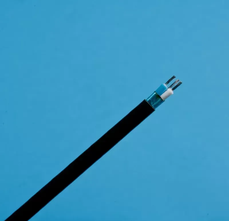 A black electrical cable stripped at the end, revealing two insulated wires (one blue, one white) on a light blue background.