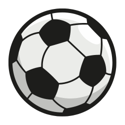 a black and white soccer ball on a white background .