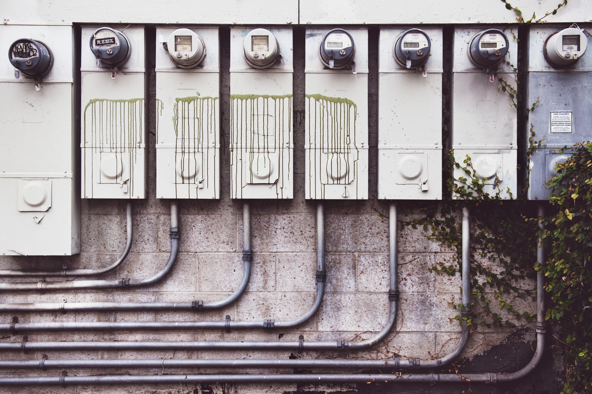 A row of electrical meters and panels mounted on a wall with vines growing on the right side.