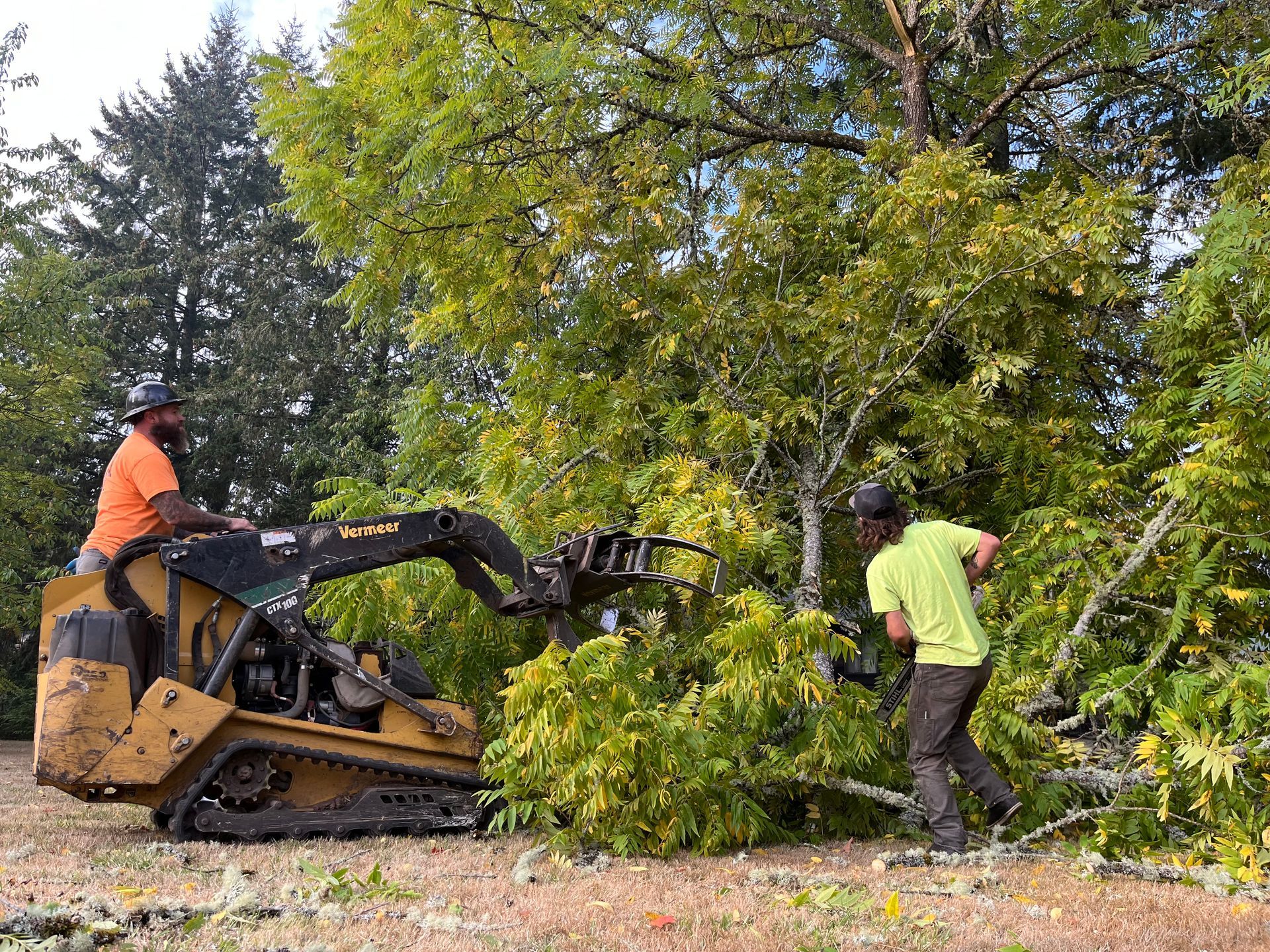 stump grinding rainier or