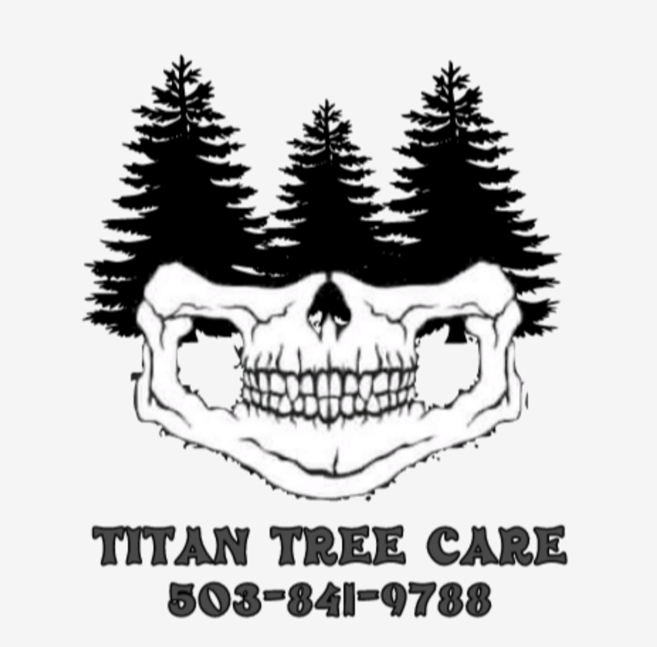 Service area titan tree care llc rainier or