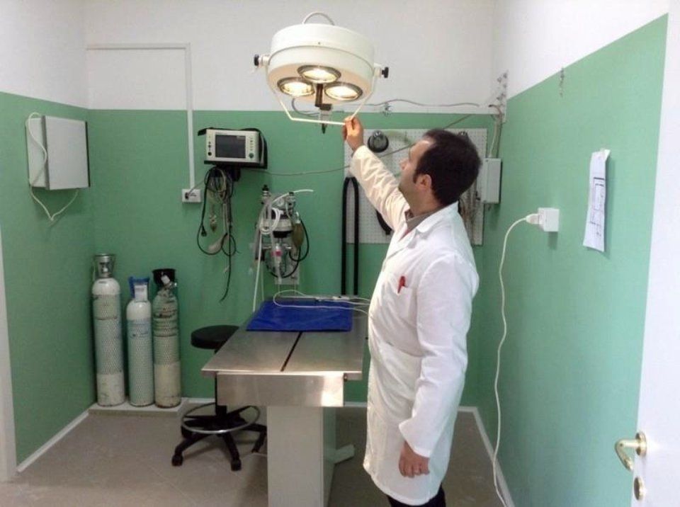 veterinario in ambulatorio