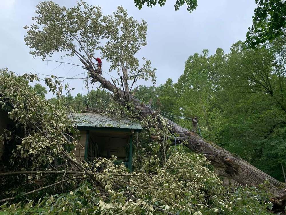 A large tree has fallen on top of a house.