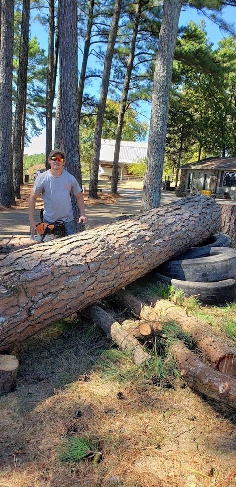 A man is standing next to a large log in the woods.