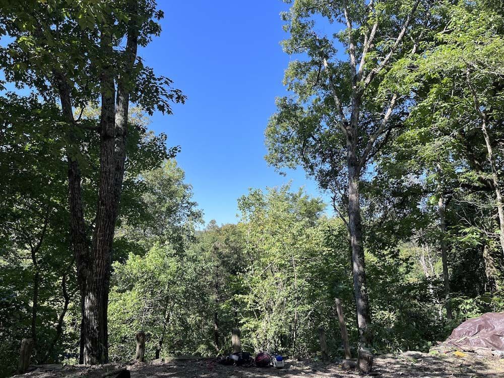 A group of people are sitting on a rock in the middle of a forest.