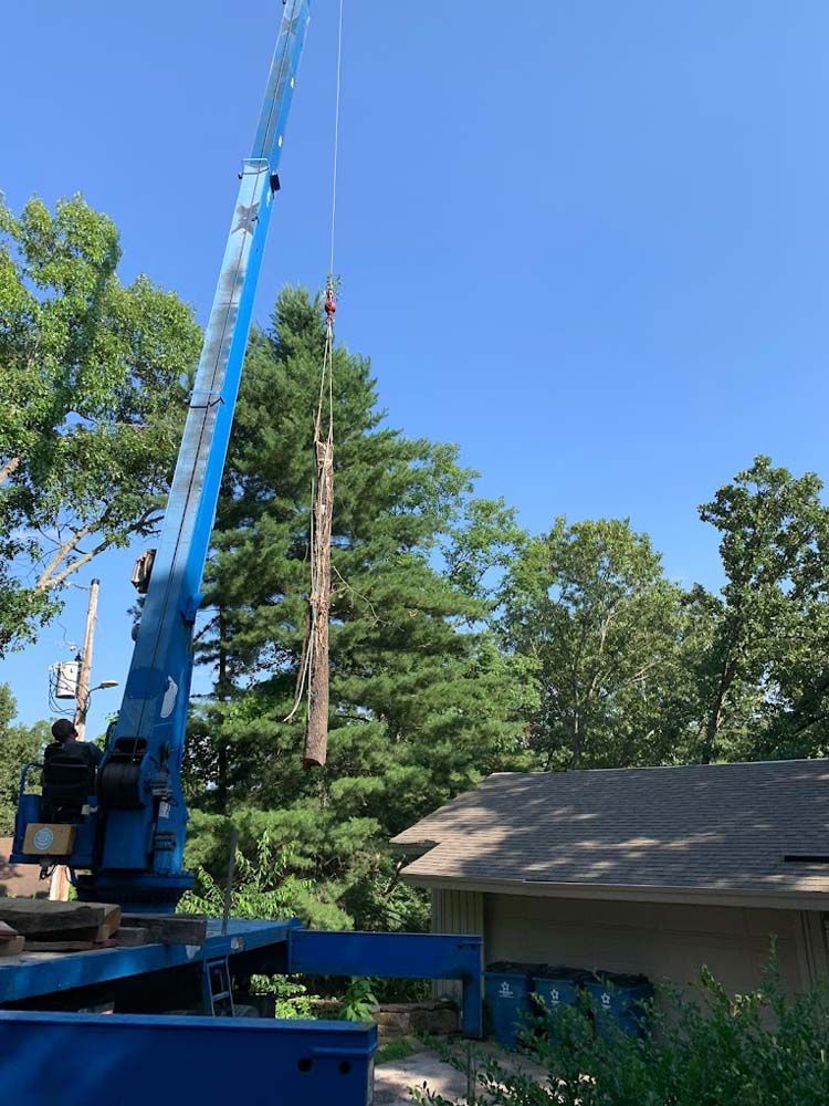 A crane is lifting a tree in front of a house.