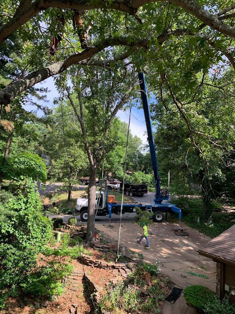 A crane is cutting a tree in a backyard.