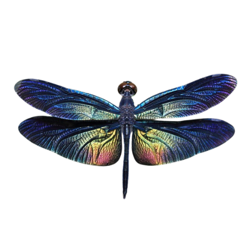 Iridescent blue dragonfly with rainbow-tinted wings on a white background