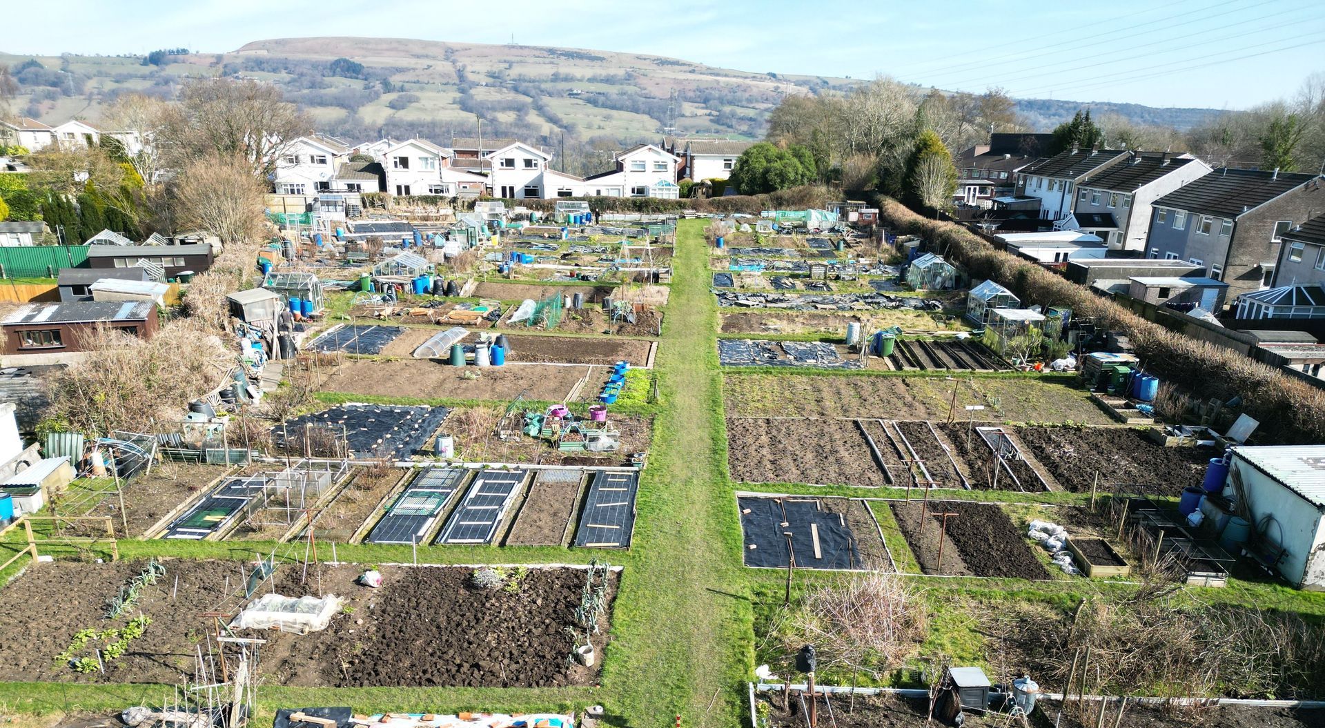 Allotment plots with various crops, pathways, and distant houses and hills under a sunny sky.