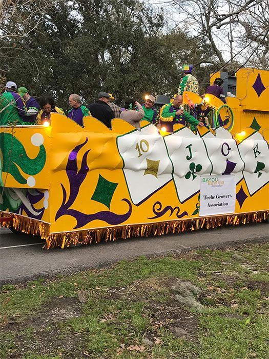 Mardi Gras float with playing card designs in yellow, green, and purple. People are on the float.