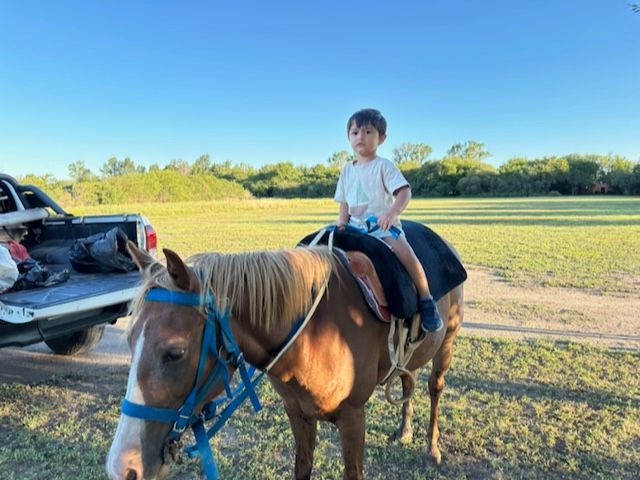 Cabalgatas para los más chicos