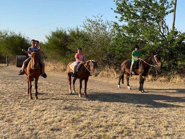 Cabalgatas grupales