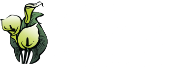 fears family funeral home pocahontas ar