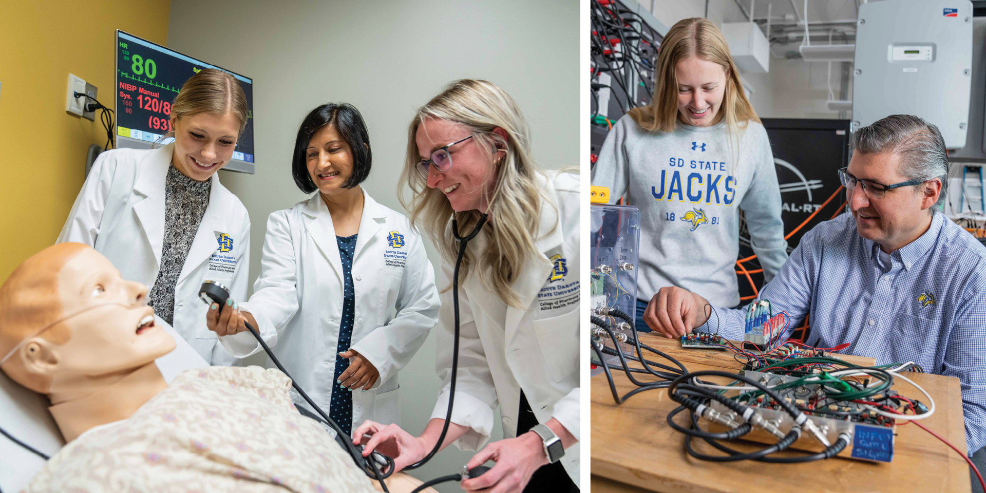 Endowed Faculty at SDSU