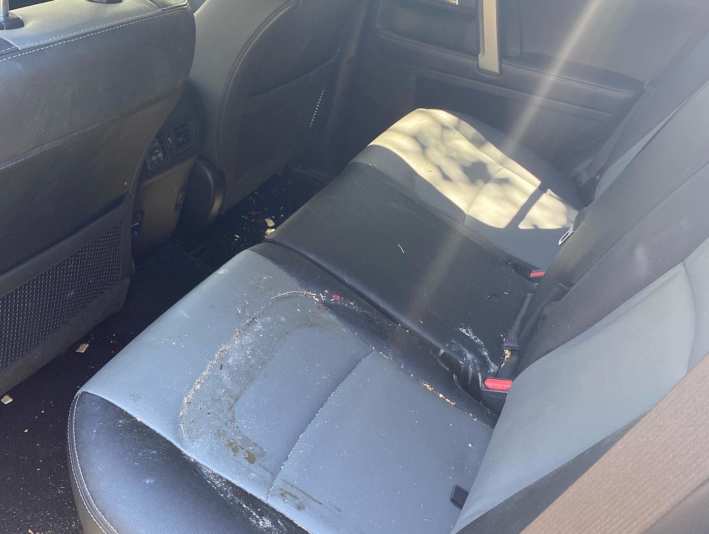 The back seat of a car is dirty and covered in dust.