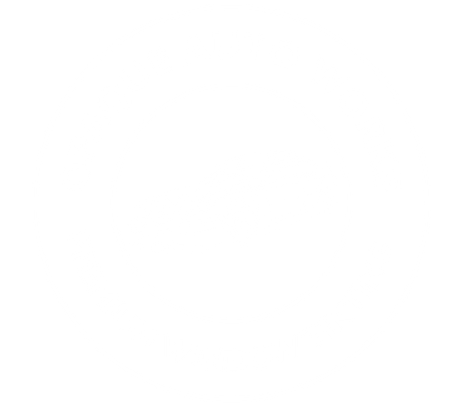 Opaque Auto Works