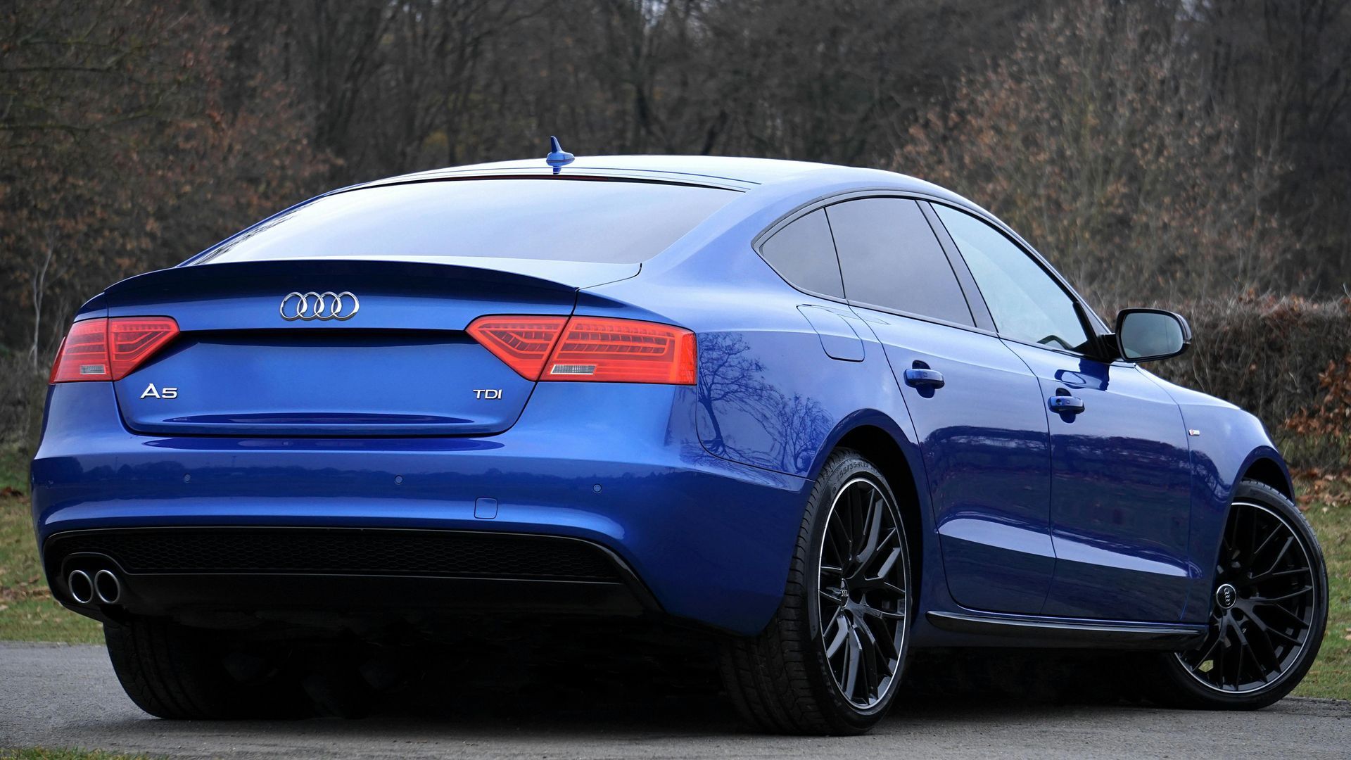 Blue Audi A5 Sportback parked outdoors, angled rear view. Features black wheels and tinted windows.